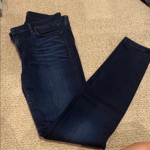 Joes Jeans, The Icon Skinny Jean 29